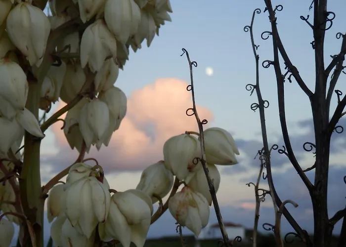 カントリーハウス Casa Do - Santa Maria Norte